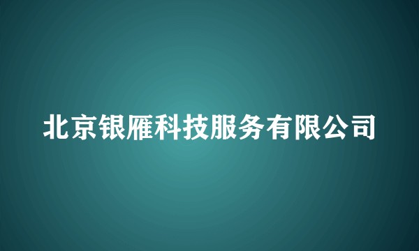 北京银雁科技服务有限公司