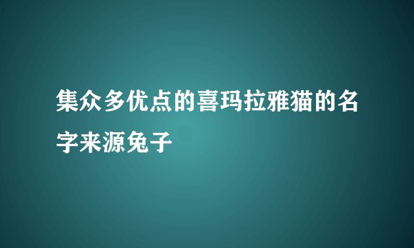 集众多优点的喜玛拉雅猫的名字来源兔子