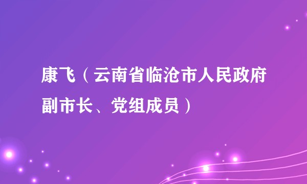 康飞（云南省临沧市人民政府副市长、党组成员）