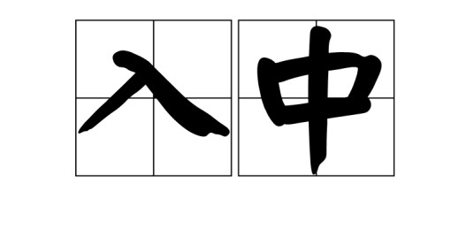 入中