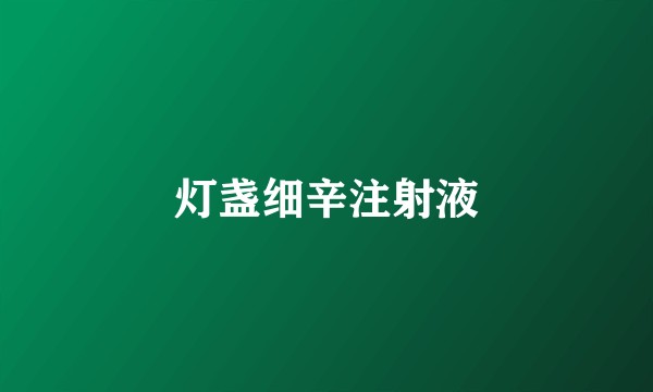 灯盏细辛注射液