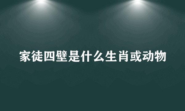 家徒四壁是什么生肖或动物