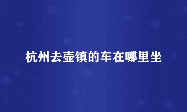 杭州去壶镇的车在哪里坐