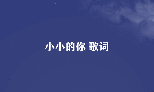 小小的你 歌词