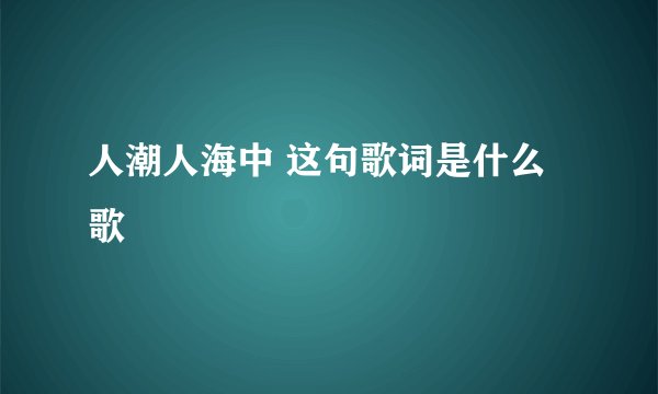 人潮人海中 这句歌词是什么歌