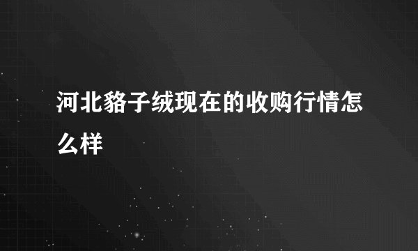 河北貉子绒现在的收购行情怎么样