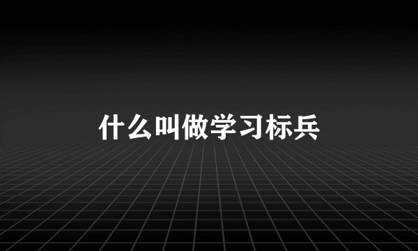 什么叫做学习标兵