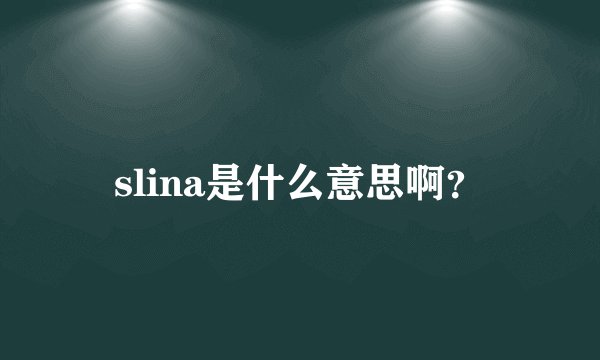 slina是什么意思啊？