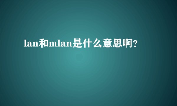 lan和mlan是什么意思啊？