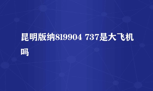 昆明版纳8l9904 737是大飞机吗
