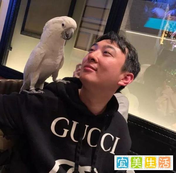 阿水离开IG是被逼的!王思聪出2000万,阿水只能拿1600万