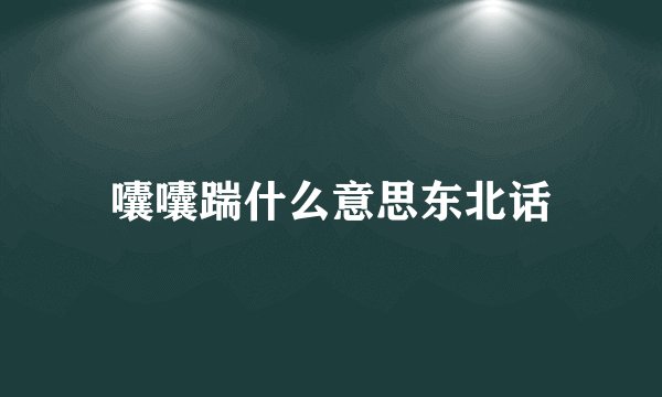 囔囔踹什么意思东北话
