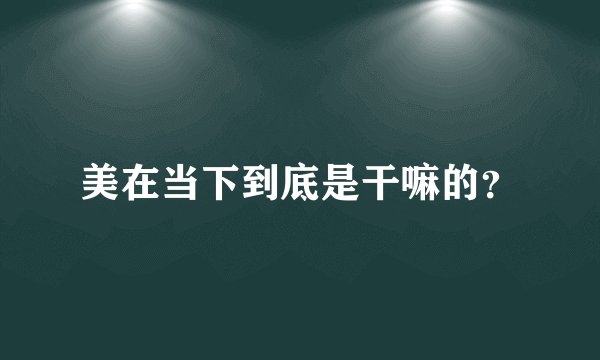美在当下到底是干嘛的？