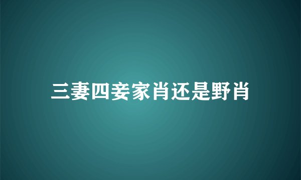 三妻四妾家肖还是野肖