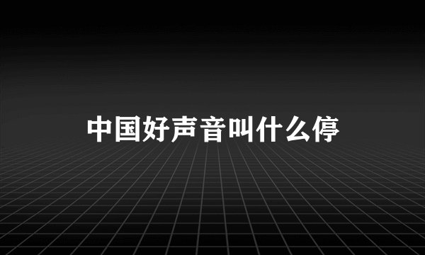 中国好声音叫什么停