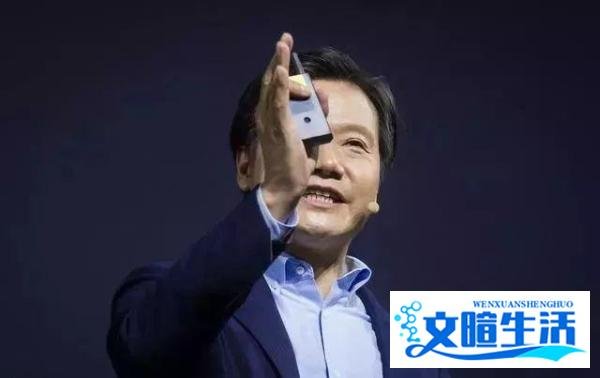 套现用作慈善?小米员工怒斥:林斌不走,小米股票永无出头之日