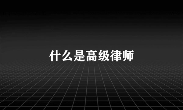 什么是高级律师