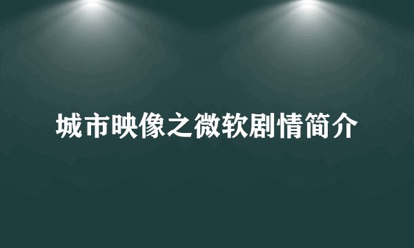 城市映像之微软剧情简介