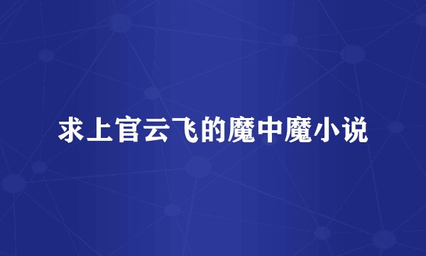 求上官云飞的魔中魔小说