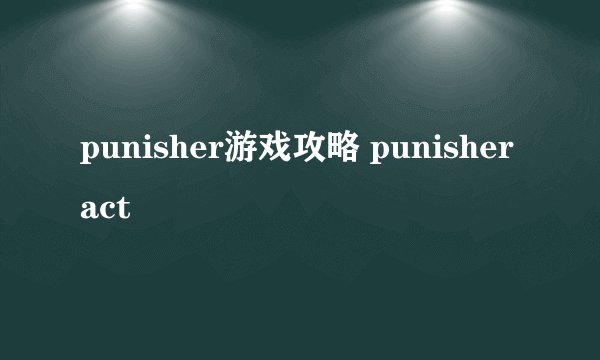 punisher游戏攻略 punisher act
