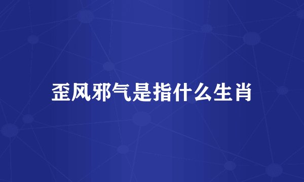 歪风邪气是指什么生肖