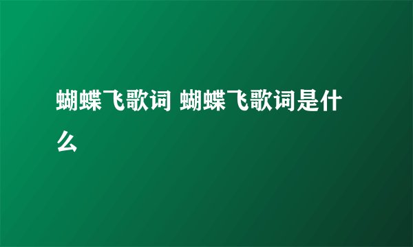 蝴蝶飞歌词 蝴蝶飞歌词是什么
