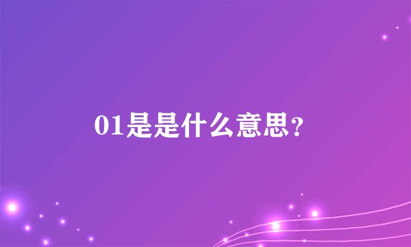 01是是什么意思？