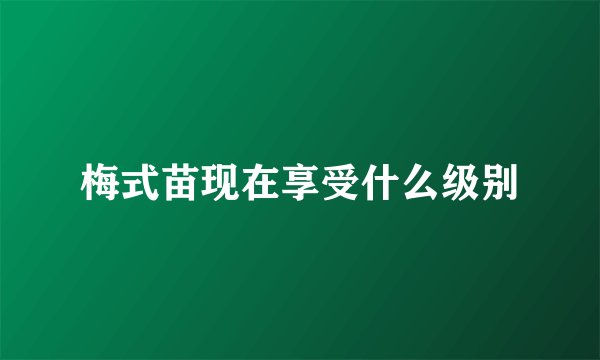 梅式苗现在享受什么级别