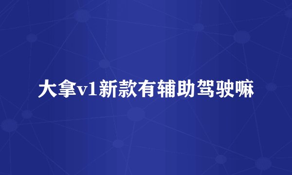 大拿v1新款有辅助驾驶嘛
