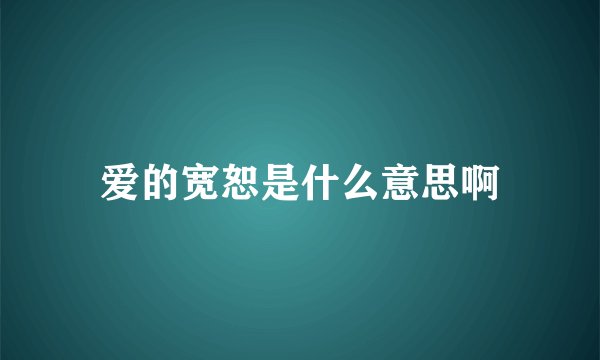 爱的宽恕是什么意思啊