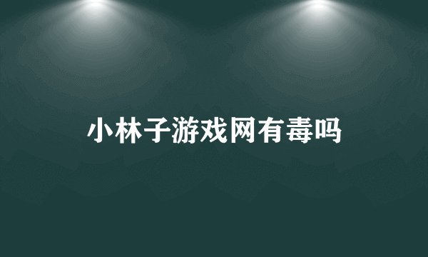 小林子游戏网有毒吗