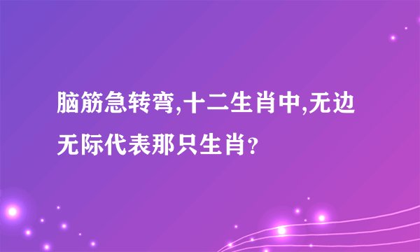 脑筋急转弯,十二生肖中,无边无际代表那只生肖？