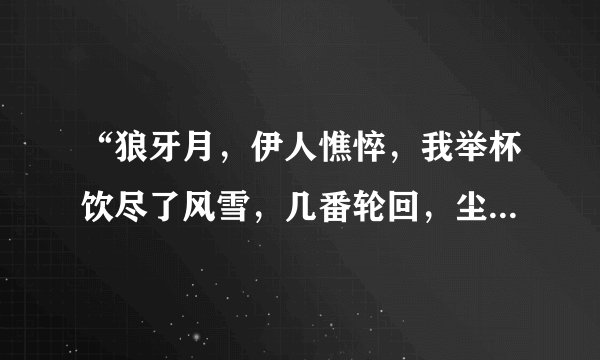 “狼牙月，伊人憔悴，我举杯饮尽了风雪，几番轮回，尘埃是非，这等待苍老了谁？”出自哪？