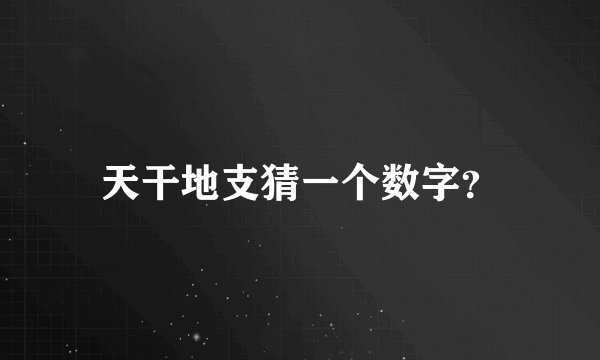 天干地支猜一个数字？