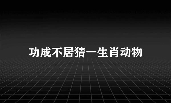 功成不居猜一生肖动物