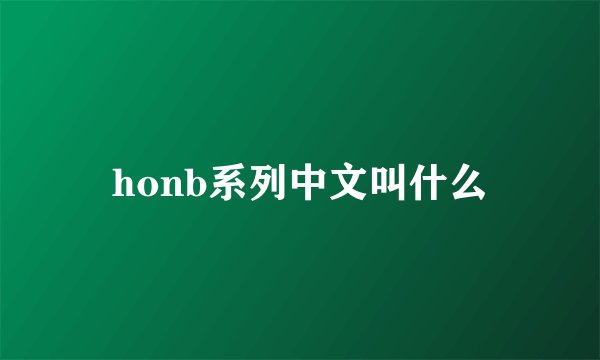 honb系列中文叫什么