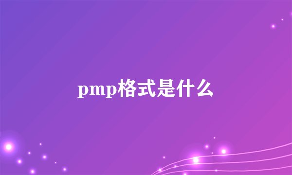 pmp格式是什么