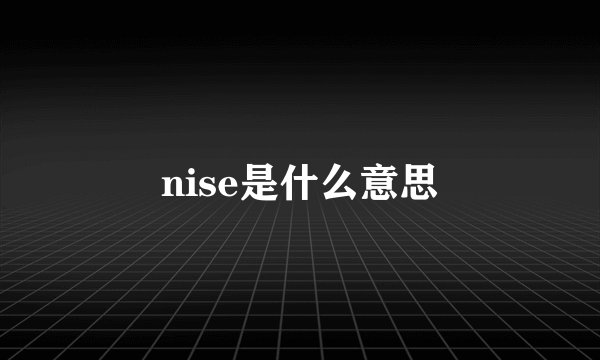 nise是什么意思