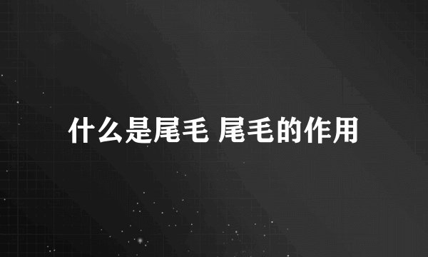 什么是尾毛 尾毛的作用