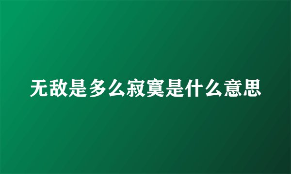 无敌是多么寂寞是什么意思