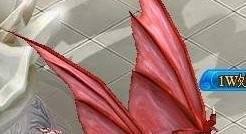 魔幻大陆图标怎么点亮