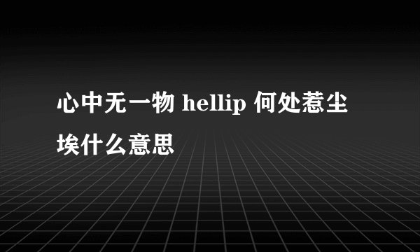 心中无一物 hellip 何处惹尘埃什么意思