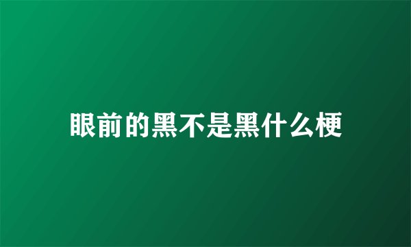 眼前的黑不是黑什么梗