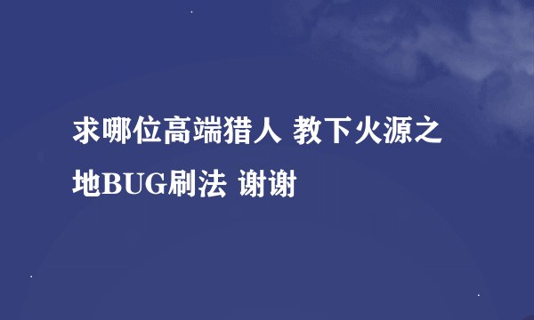 求哪位高端猎人 教下火源之地BUG刷法 谢谢