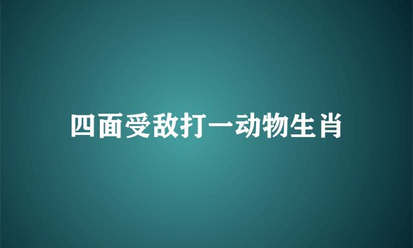 四面受敌打一动物生肖
