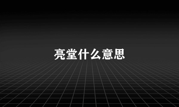 亮堂什么意思
