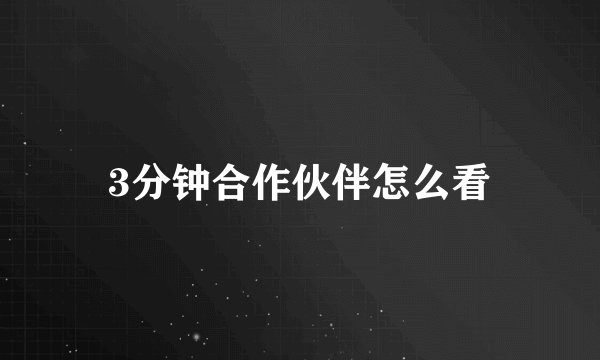 3分钟合作伙伴怎么看