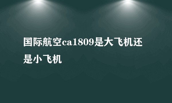 国际航空ca1809是大飞机还是小飞机