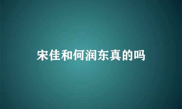 宋佳和何润东真的吗