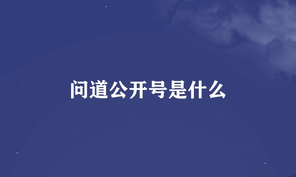 问道公开号是什么